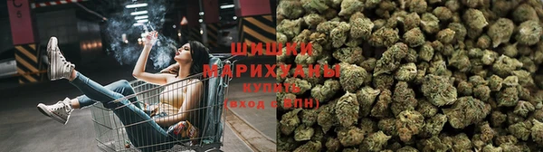 амф Ступино