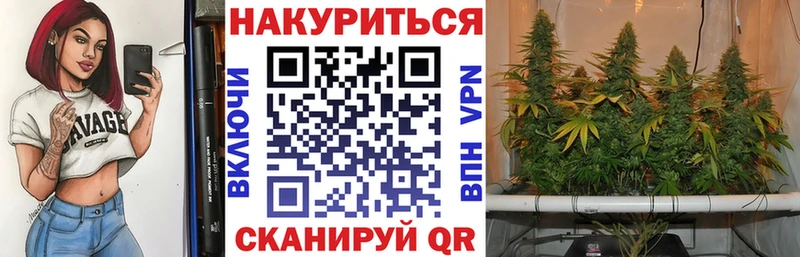 Шишки марихуана Bruce Banner  Купить  Бронницы 